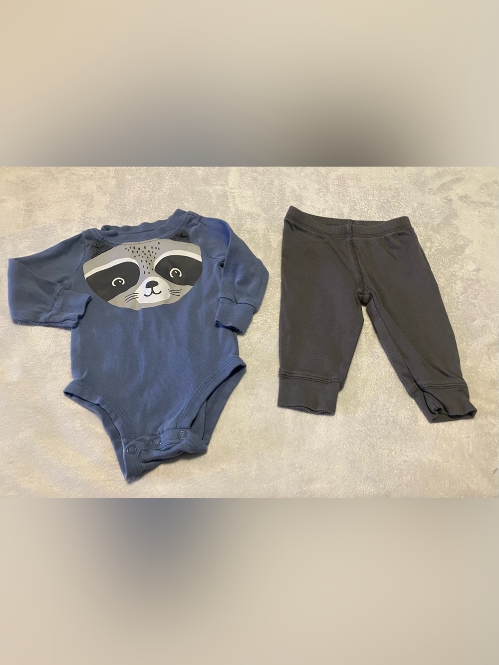 Blue Raccoon Graphic One-Piece and Pants Set